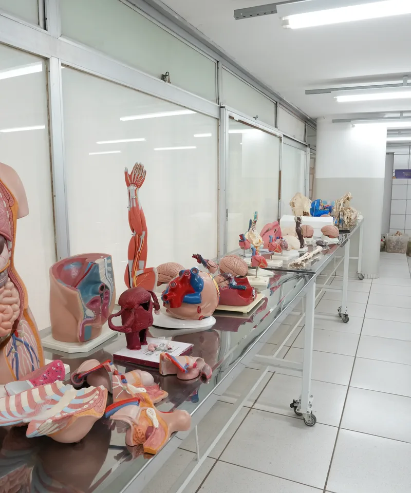 Laboratório de anatomia UNITERP